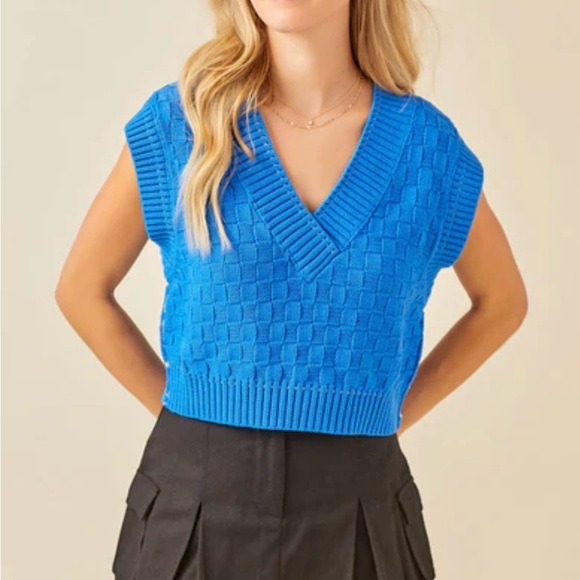Day + Moon Blue Knit Sweater Vest - Picture 1 of 5